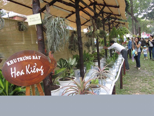 ງານບຸນດອກໄມ້, ໜັງສືພິມລະດູ ບານໃຫ່ມ 2014